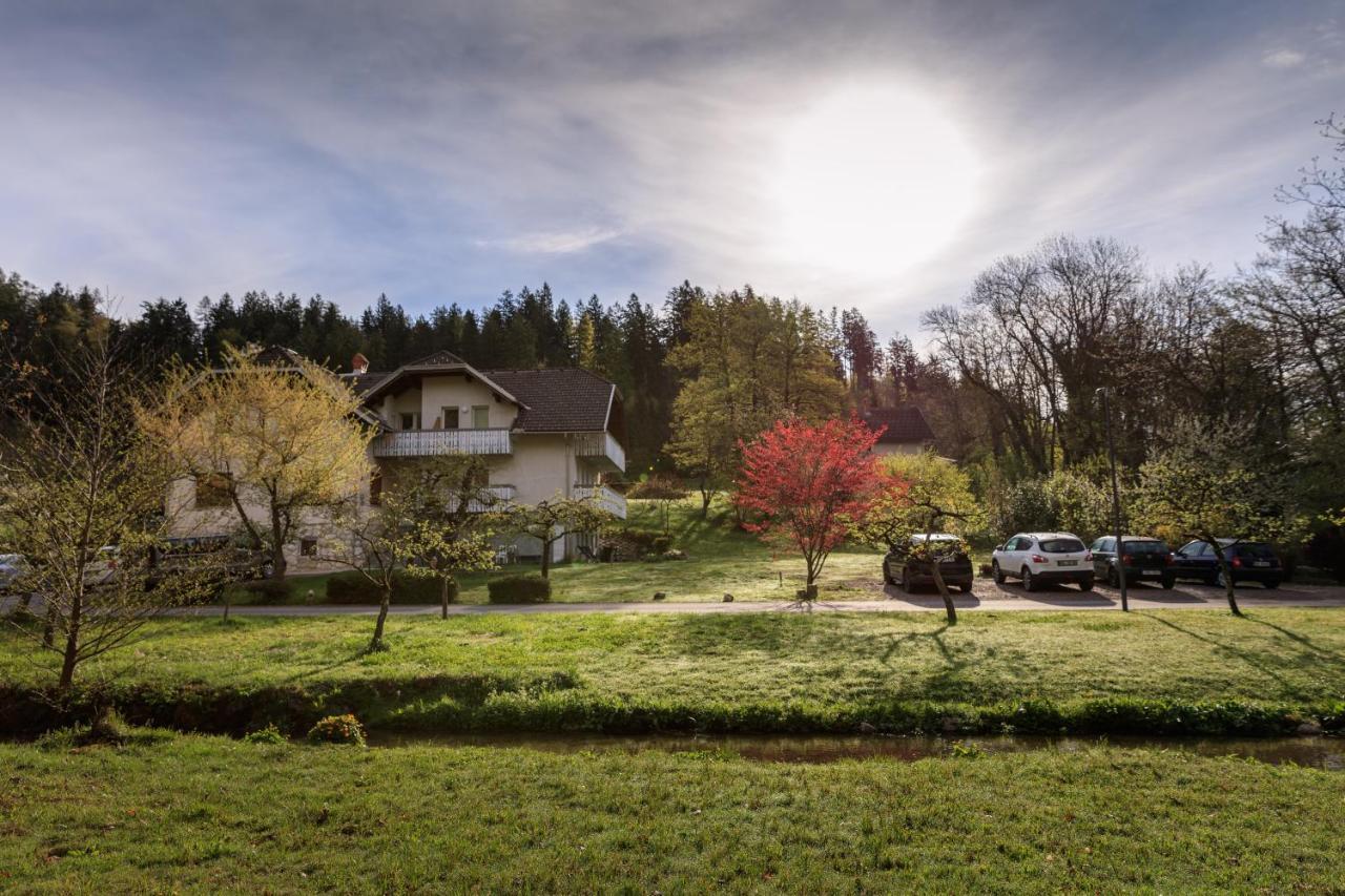 Lake House Sebanc ブレッド エクステリア 写真