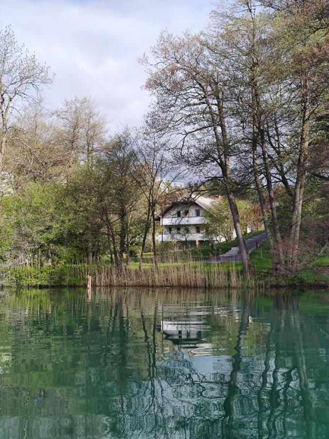 Lake House Sebanc ブレッド エクステリア 写真