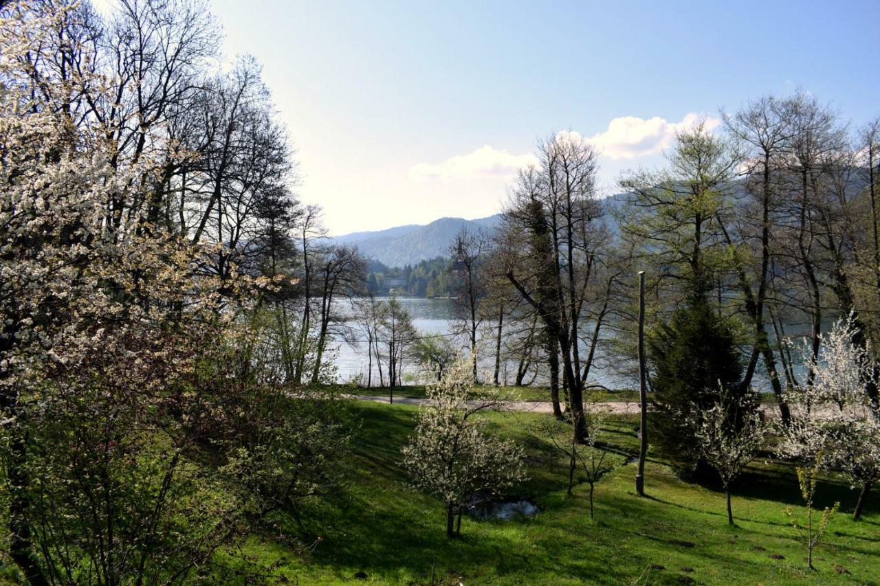 Lake House Sebanc ブレッド エクステリア 写真